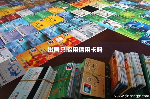 出国只能用信用卡吗
