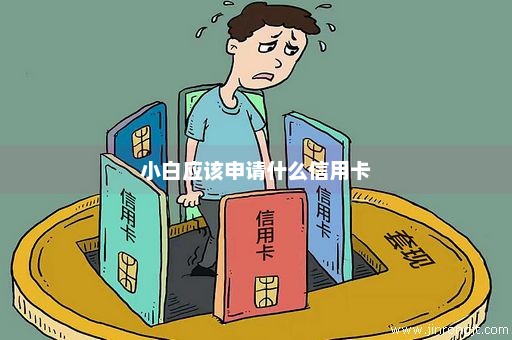 小白应该申请什么信用卡