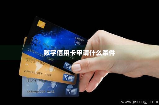 数字信用卡申请什么条件