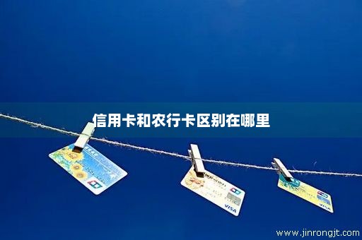 信用卡和农行卡区别在哪里