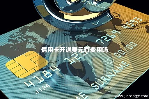 信用卡开通美元有费用吗