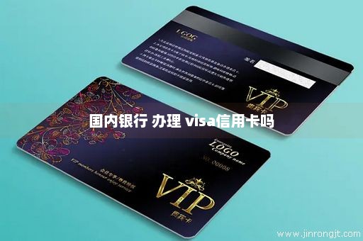 国内银行 办理 visa信用卡吗