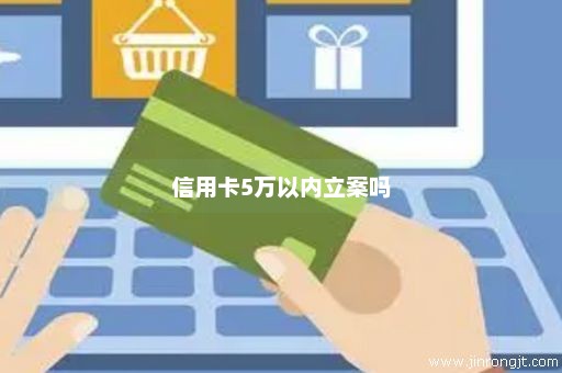 信用卡5万以内立案吗