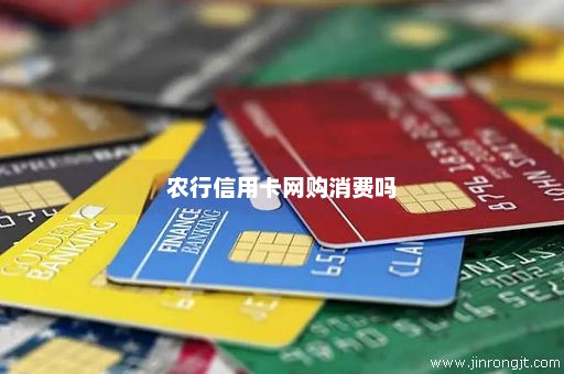 农行信用卡网购消费吗