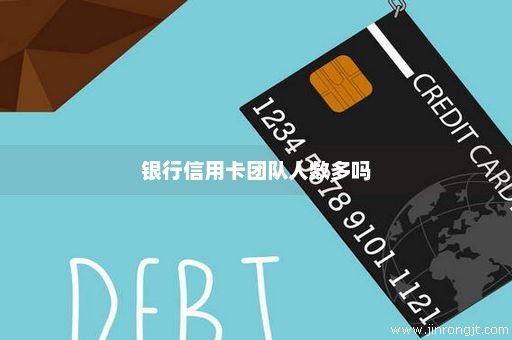 银行信用卡团队人数多吗