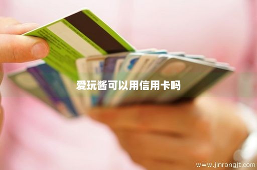 爱玩酱可以用信用卡吗