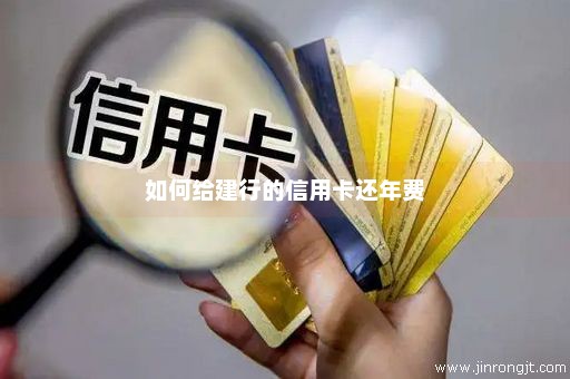 如何给建行的信用卡还年费