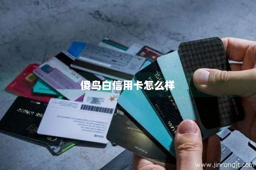 傻鸟白信用卡怎么样
