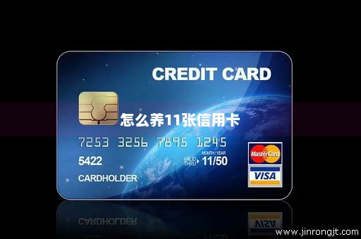 怎么养11张信用卡