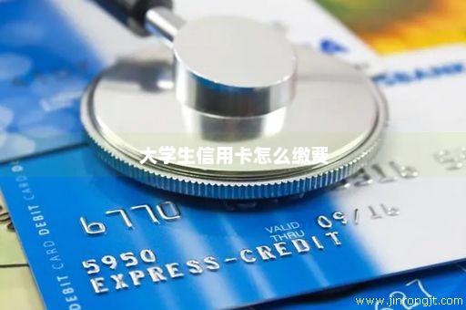 大学生信用卡怎么缴费