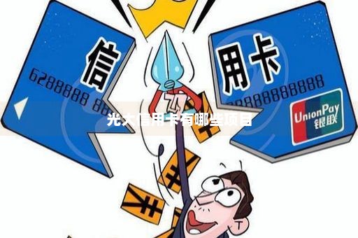 光大信用卡有哪些项目