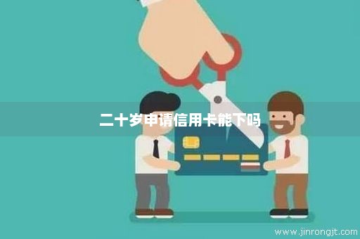 二十岁申请信用卡能下吗