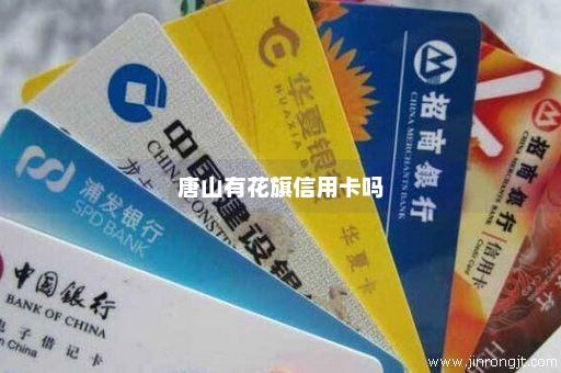 唐山有花旗信用卡吗