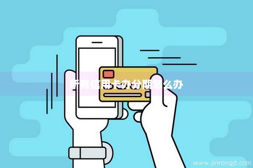 所有信用卡办分期怎么办