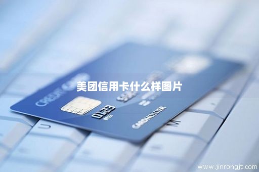 美团信用卡什么样图片