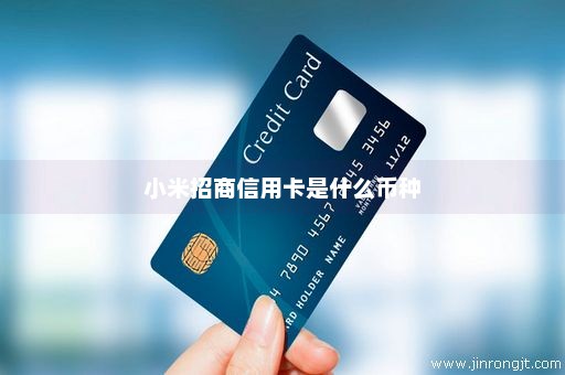 小米招商信用卡是什么币种