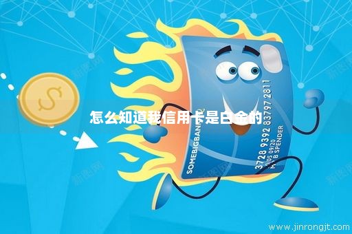 怎么知道我信用卡是白金的