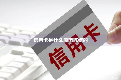 信用卡是什么原因冻结的
