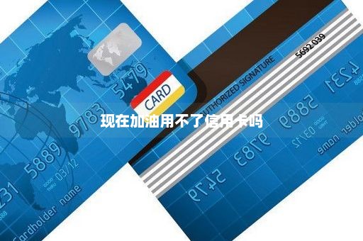 现在加油用不了信用卡吗