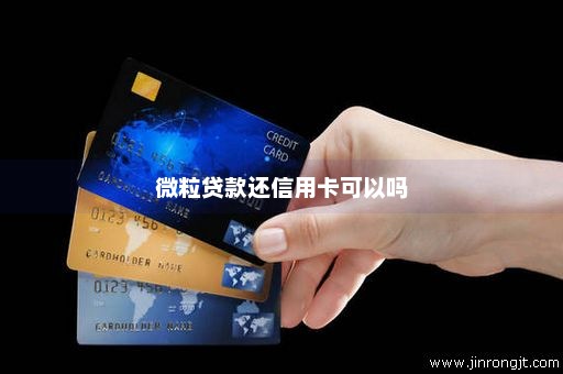 微粒贷款还信用卡可以吗