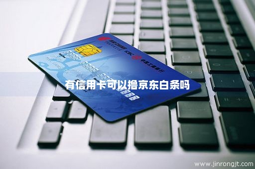 有信用卡可以撸京东白条吗