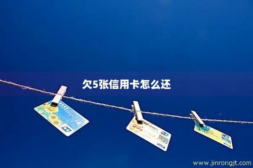 欠5张信用卡怎么还