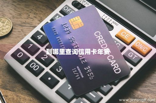 到哪里查询信用卡年费