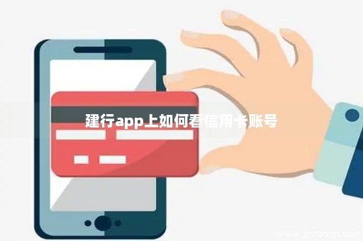 建行app上如何看信用卡账号
