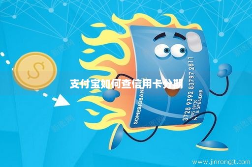 支付宝如何查信用卡分期