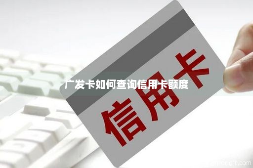 广发卡如何查询信用卡额度