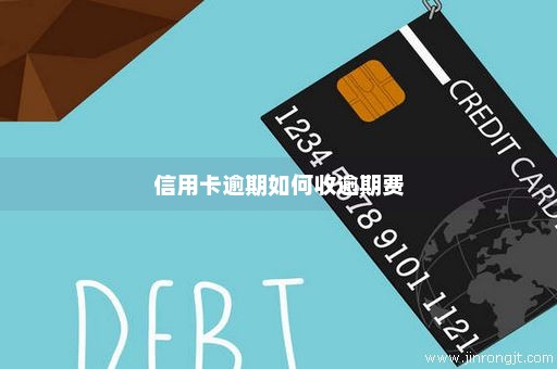 信用卡逾期如何收逾期费