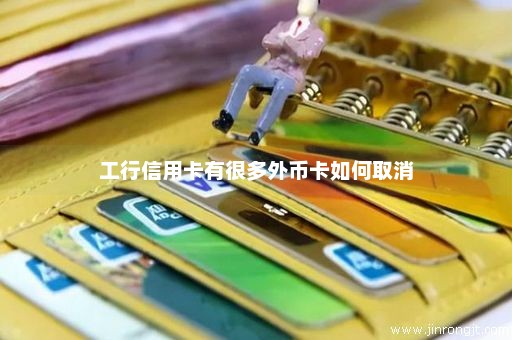 工行信用卡有很多外币卡如何取消