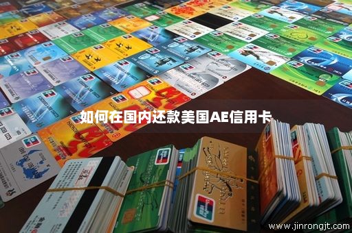 如何在国内还款美国AE信用卡