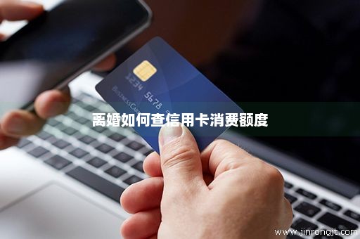 离婚如何查信用卡消费额度
