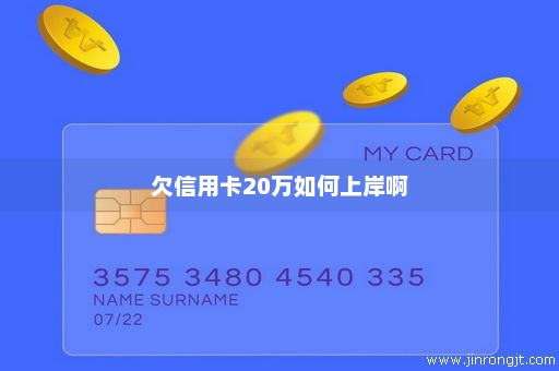 欠信用卡20万如何上岸啊