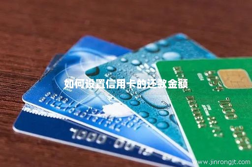 如何设置信用卡的还款金额