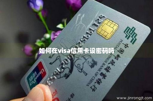 如何在visa信用卡设密码吗