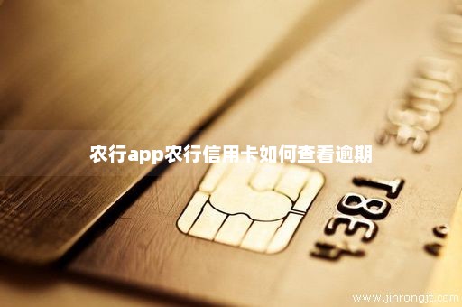 农行app农行信用卡如何查看逾期