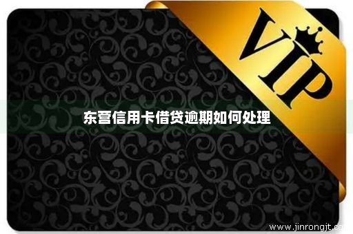 东营信用卡借贷逾期如何处理
