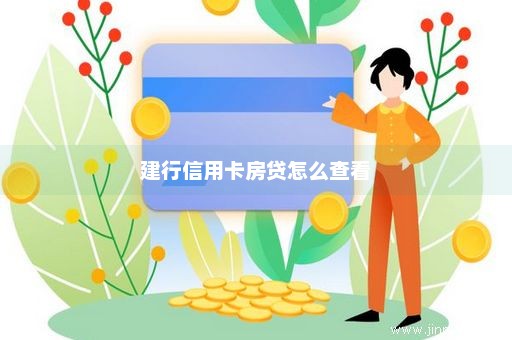 建行信用卡房贷怎么查看